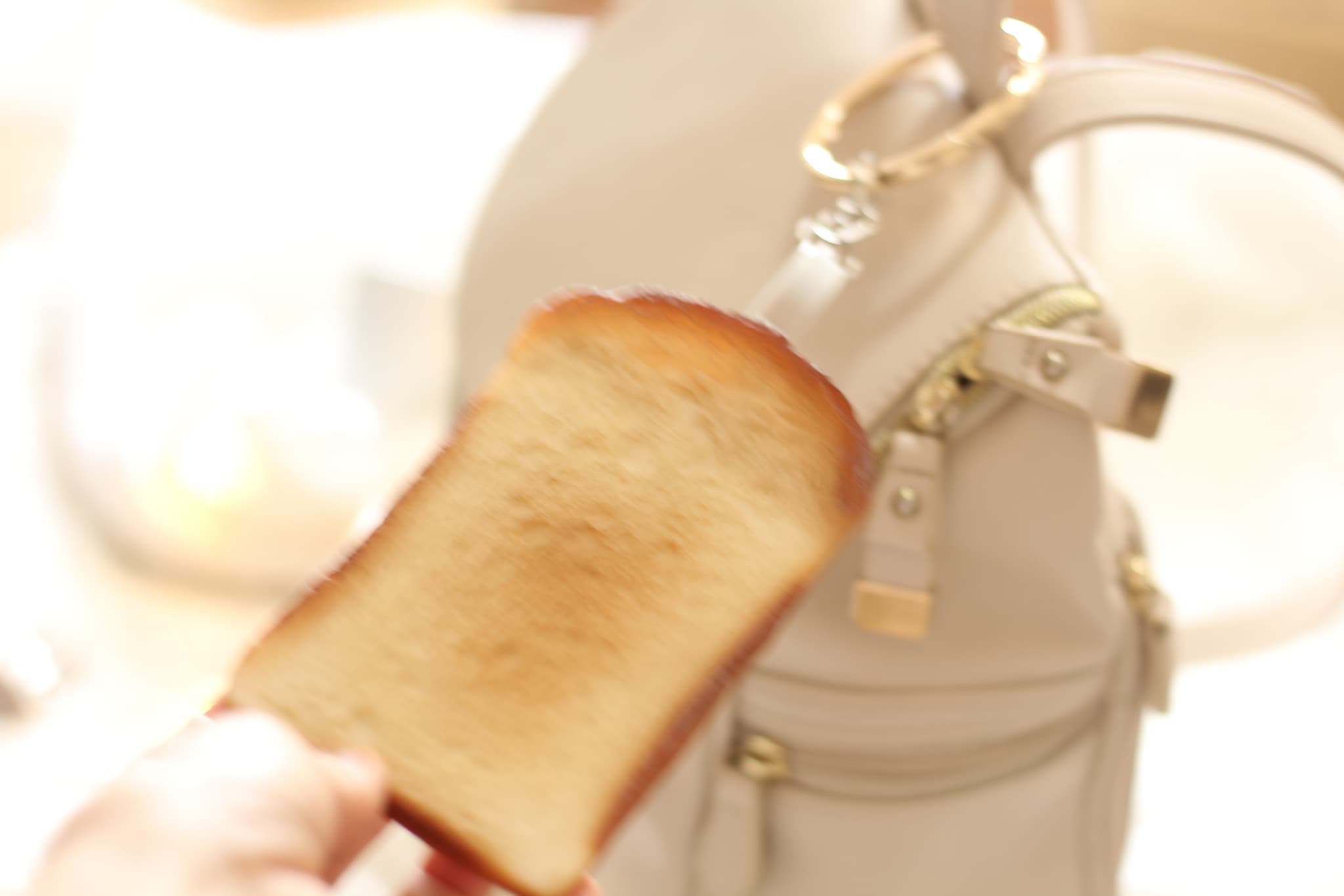 【リール付きパスケース】トースト | 11枚目