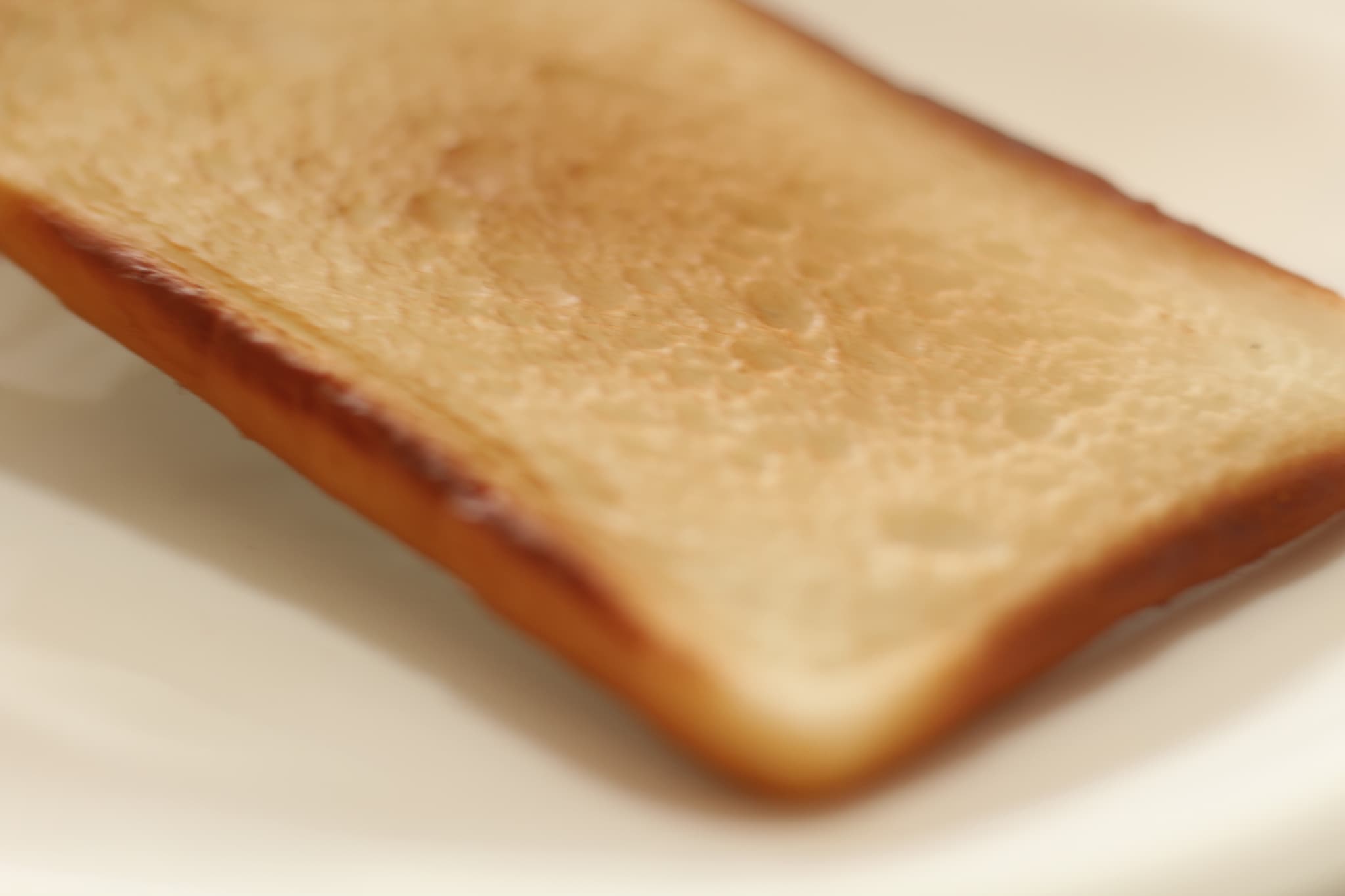【リール付きパスケース】トースト | 4枚目