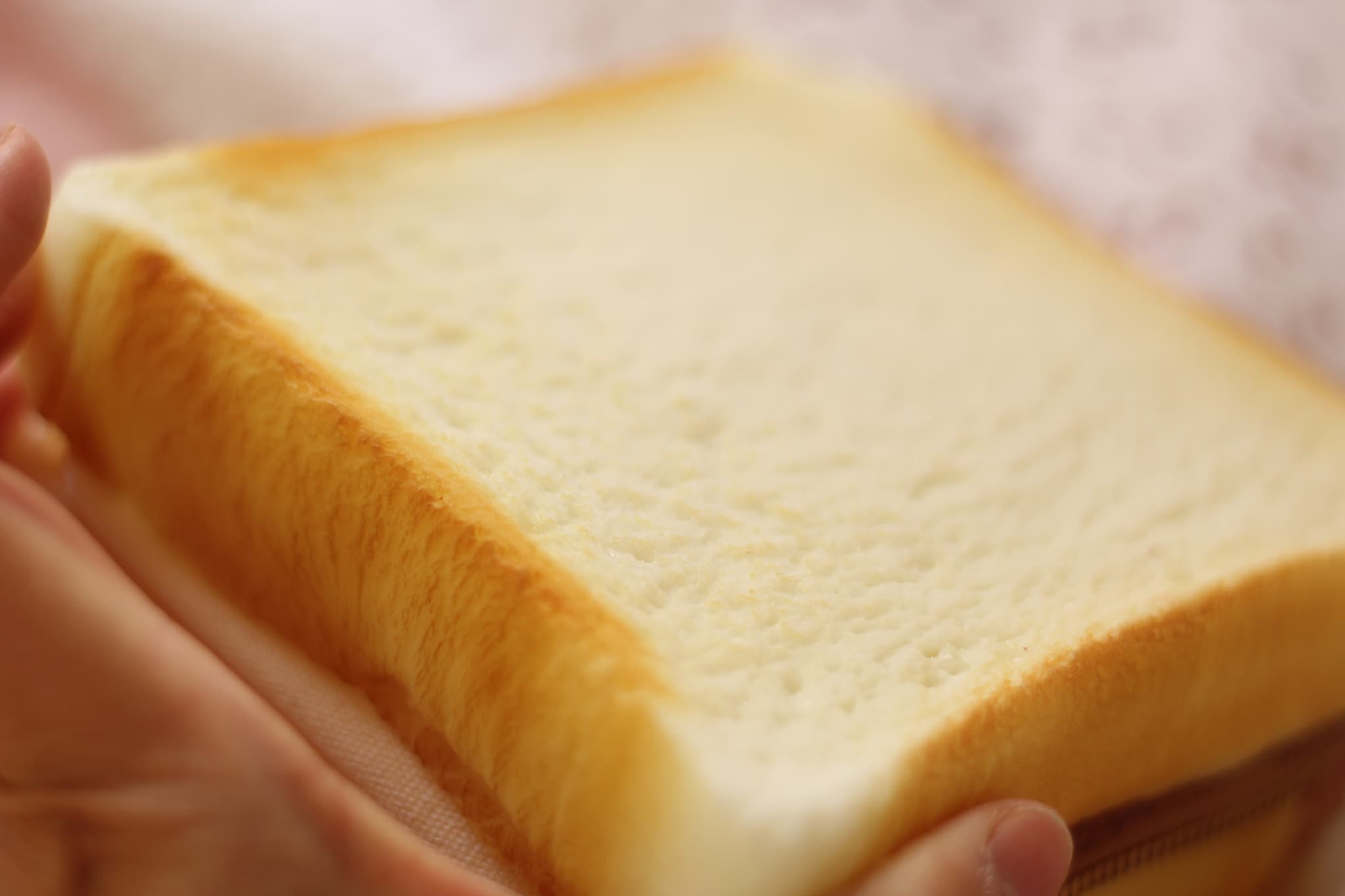 特別価格【ポーチ】生食パン | 3枚目